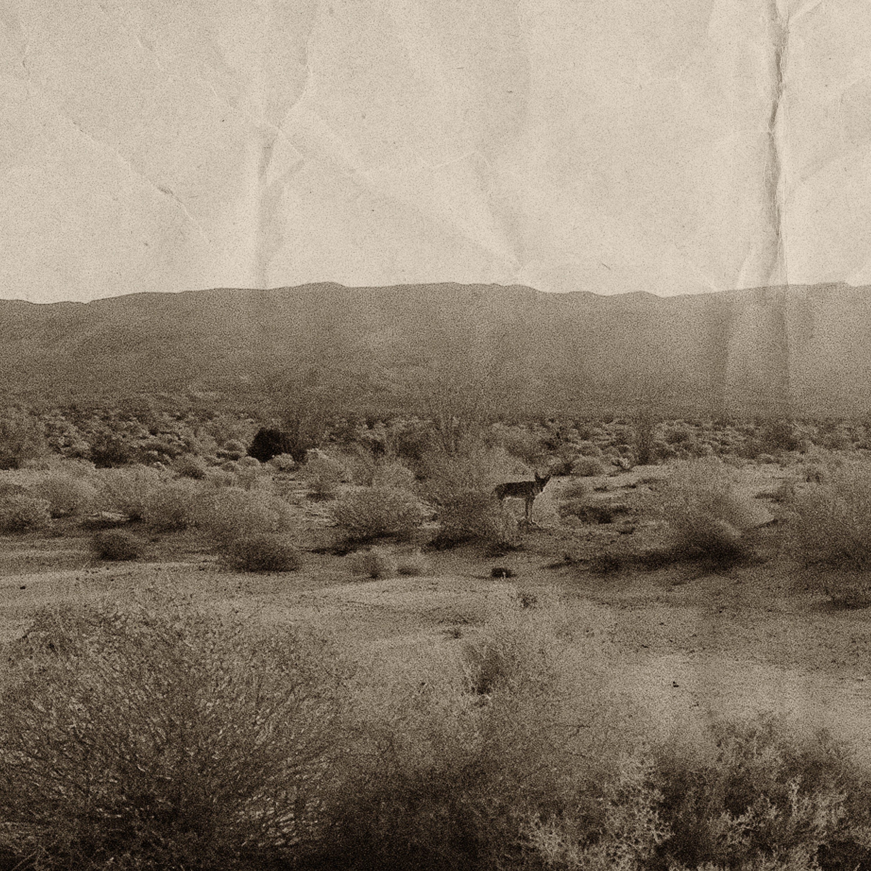 Sepia image of desert landscape with mountains and a coyote.