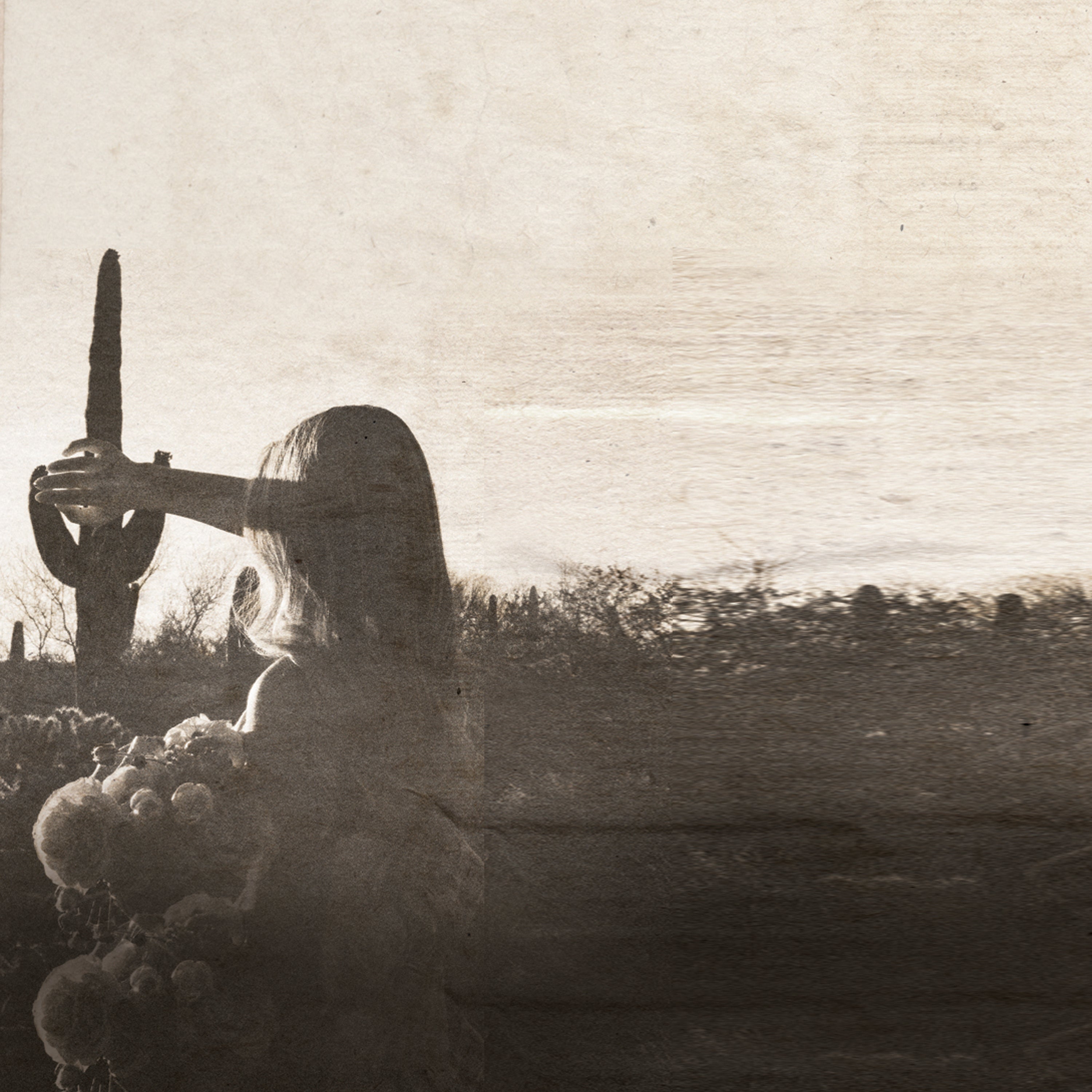 Sepia colored image of woman standing in desert with cactus
