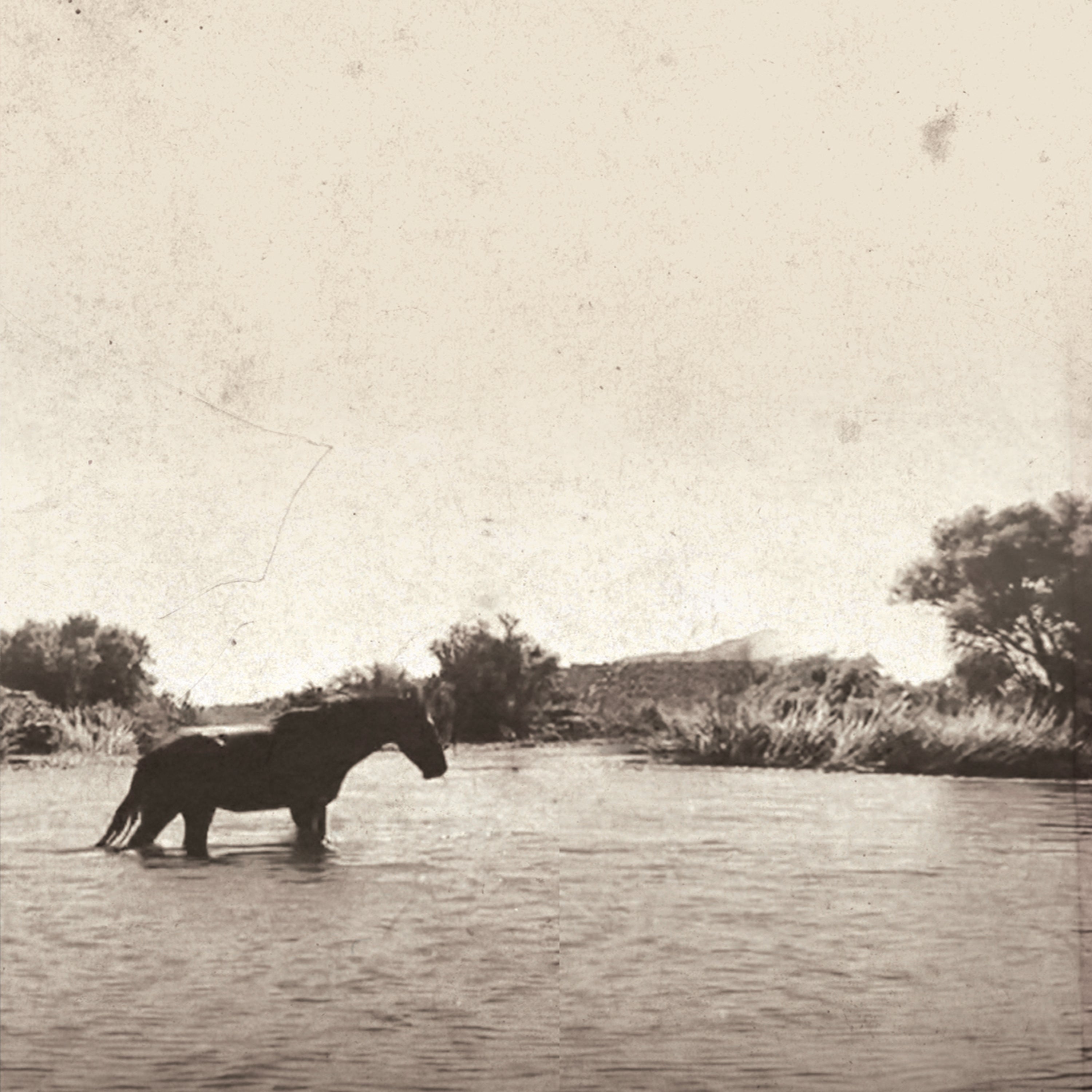 Sepia image of horse in the river