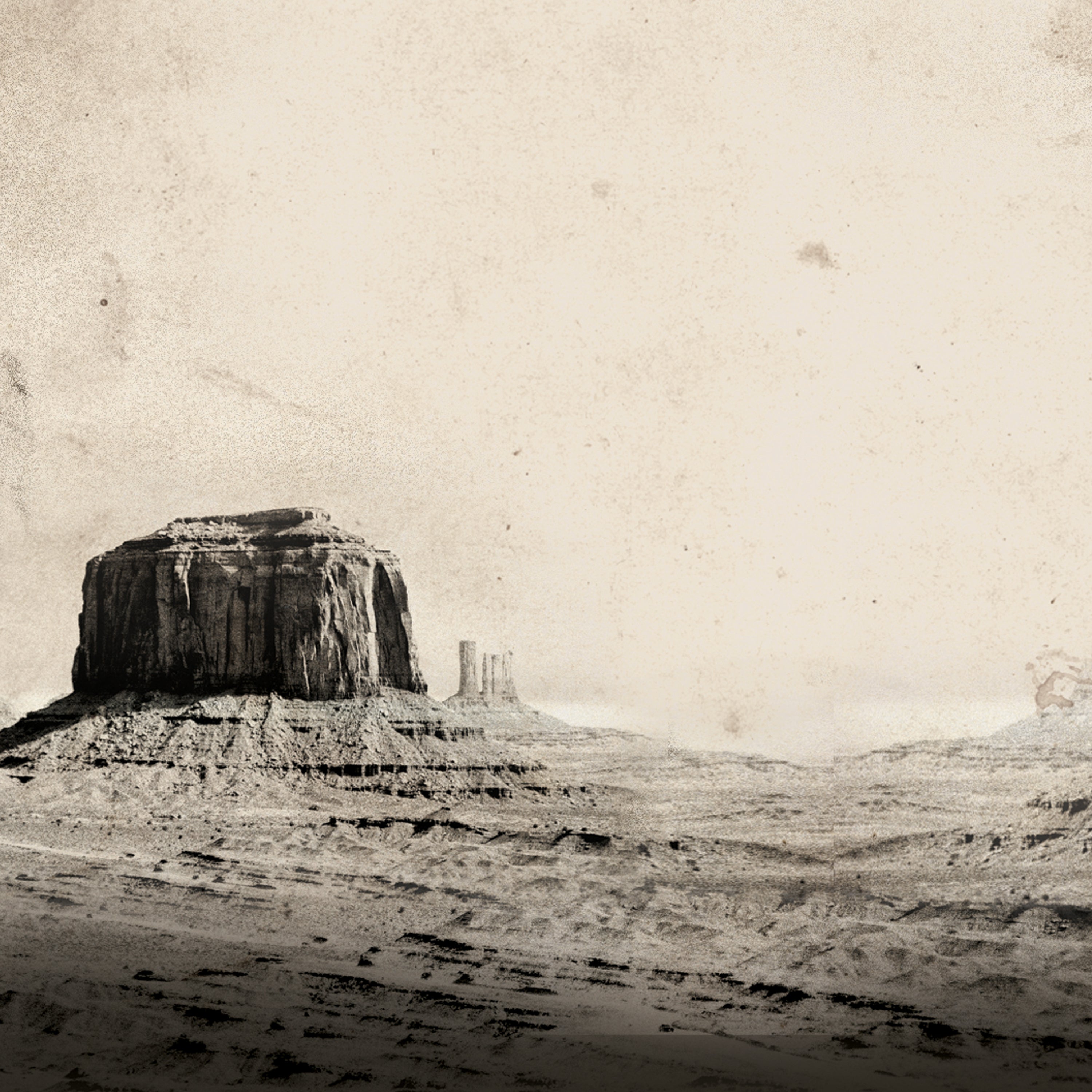 Sepia colored image of the desert landscape.
