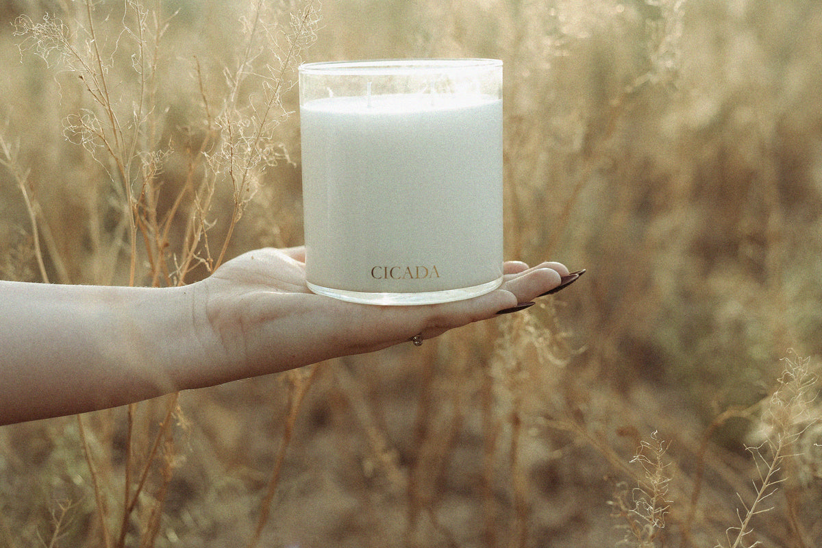 A hand holds a clear glass jar candle with white wax in an outdoor field of dry beige grass. The brand name 'CICADA' is printed in gold near the bottom of the jar.