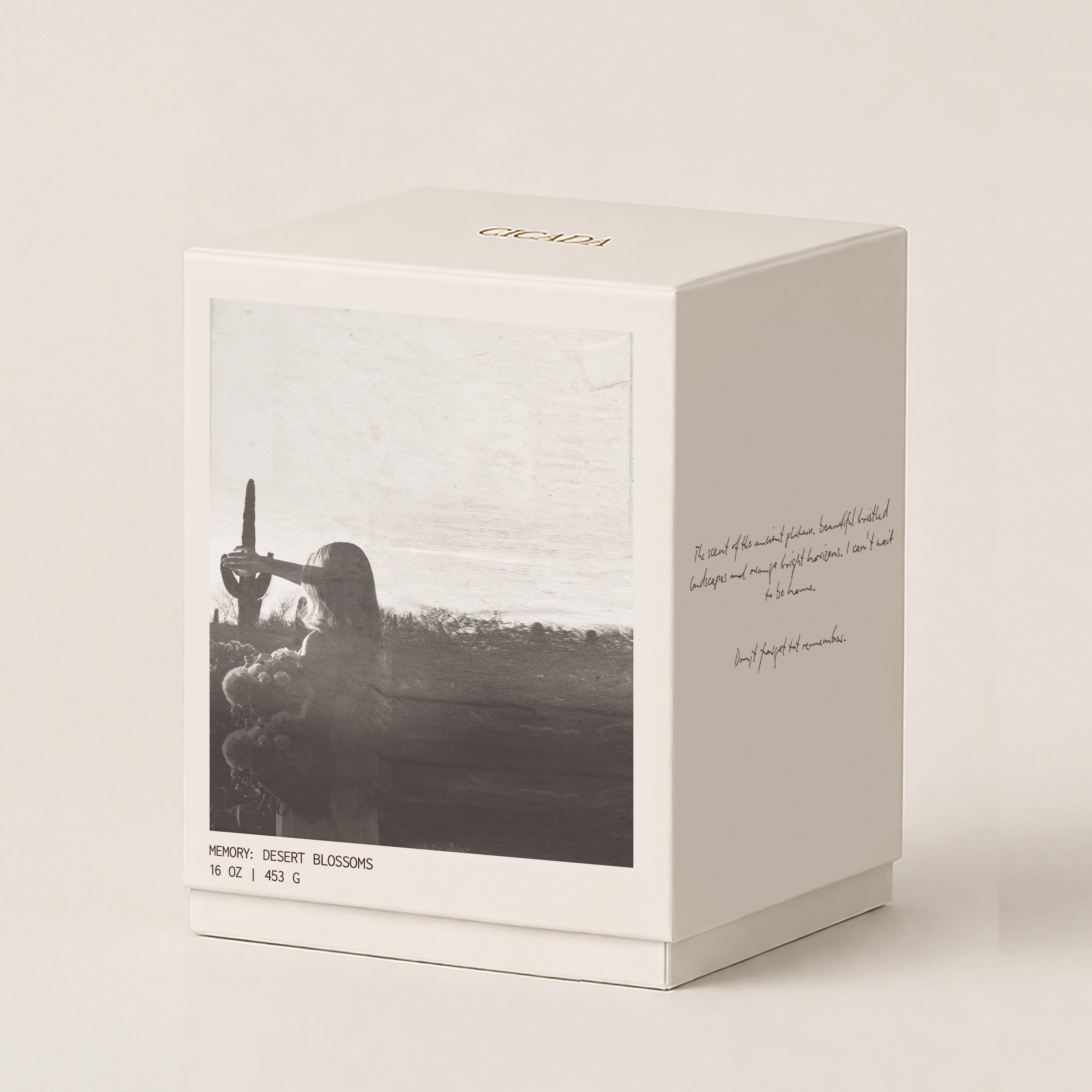 A cream 16oz candle box with a black-and-white scenic photo on the front, gold 'CICADA' branding at the top, and handwritten-style text on the side, photographed on a clean off-white background.