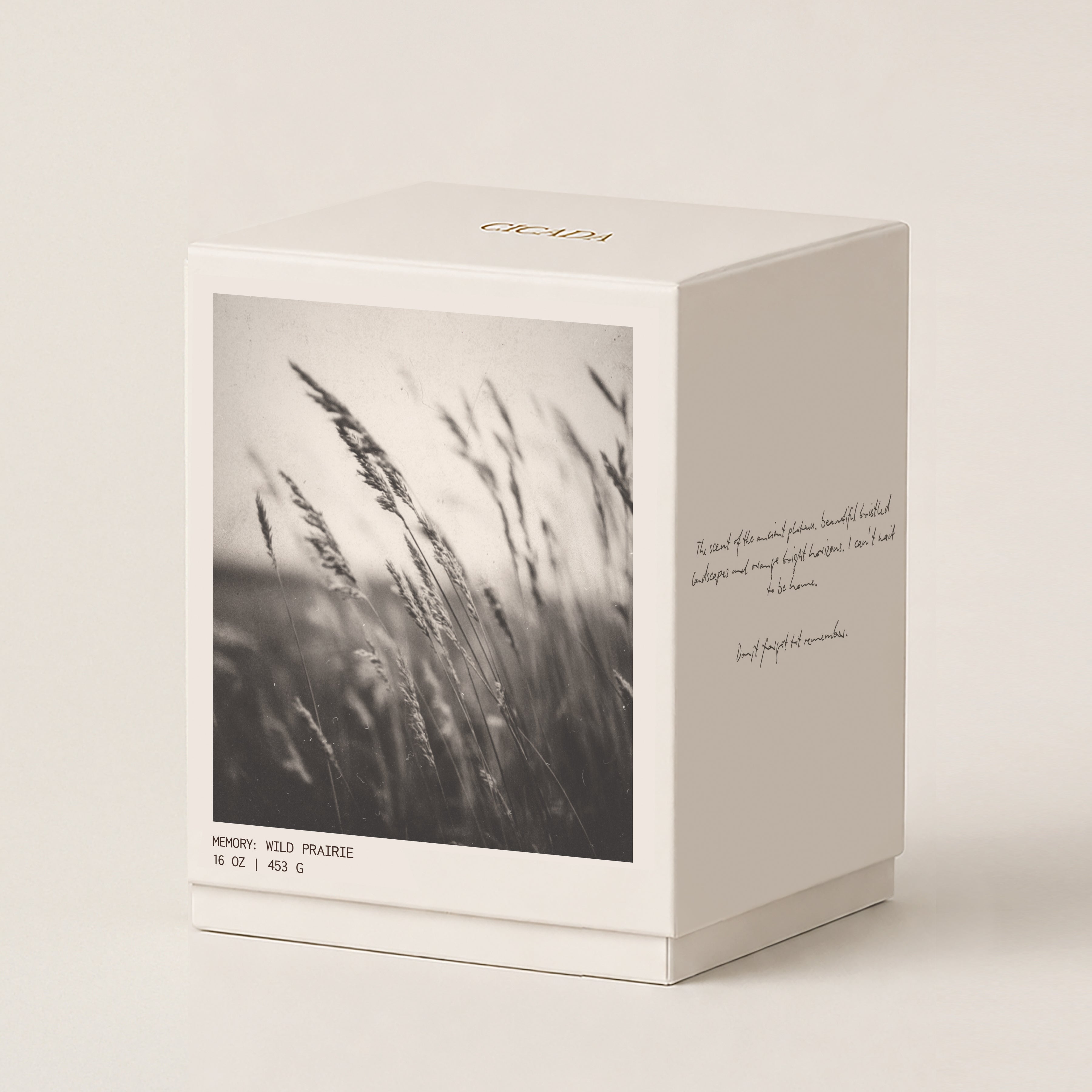 A cream colored gift box with a black-and-white photograph of wild grasses on the front, photographed on a warm off-white background. The top of the box is printed with the brand name 'CICADA' in gold, and the side features a handwritten font quote.