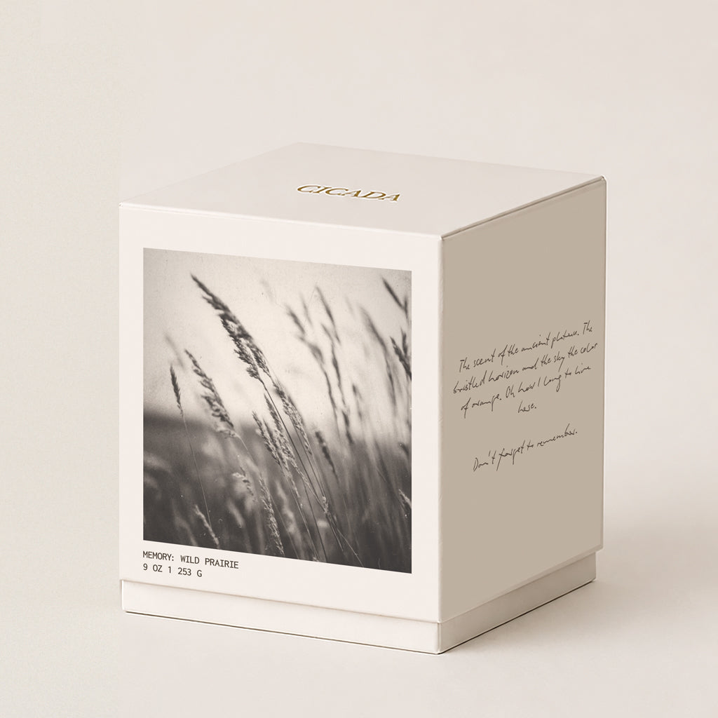 A cream colored candle box with a black-and-white photograph of wild grasses on the front, gold 'CICADA' branding on the top, and handwritten-style text on the side, photographed on a warm off-white background.