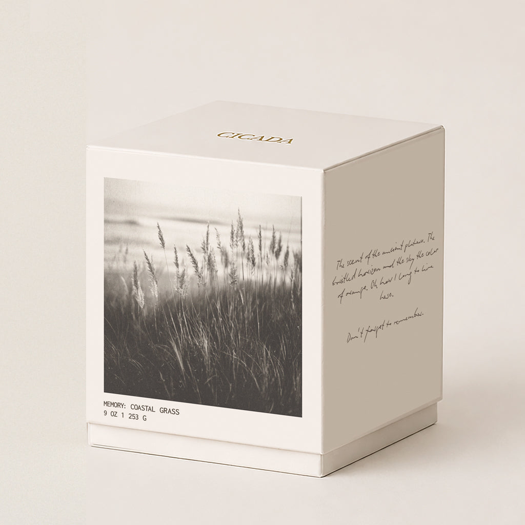 A cream colored candle box with a black-and-white photograph of grass on the front, gold 'CICADA' lettering on the lid, and handwritten-style text on the side, photographed on a warm off-white background.