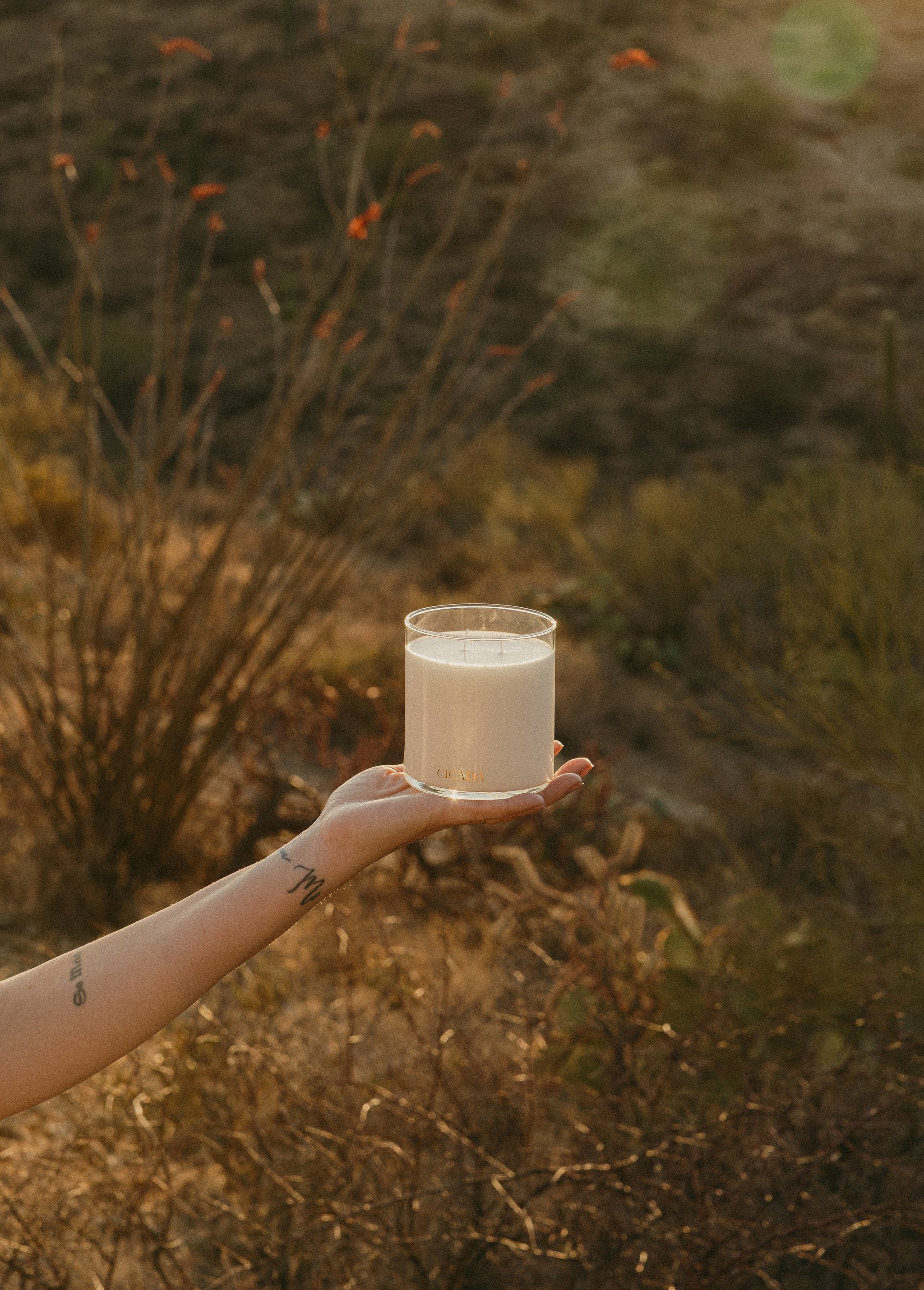 Lifestyle image of arm and hand holding 16 oz glass candle in a desert landscape setting.