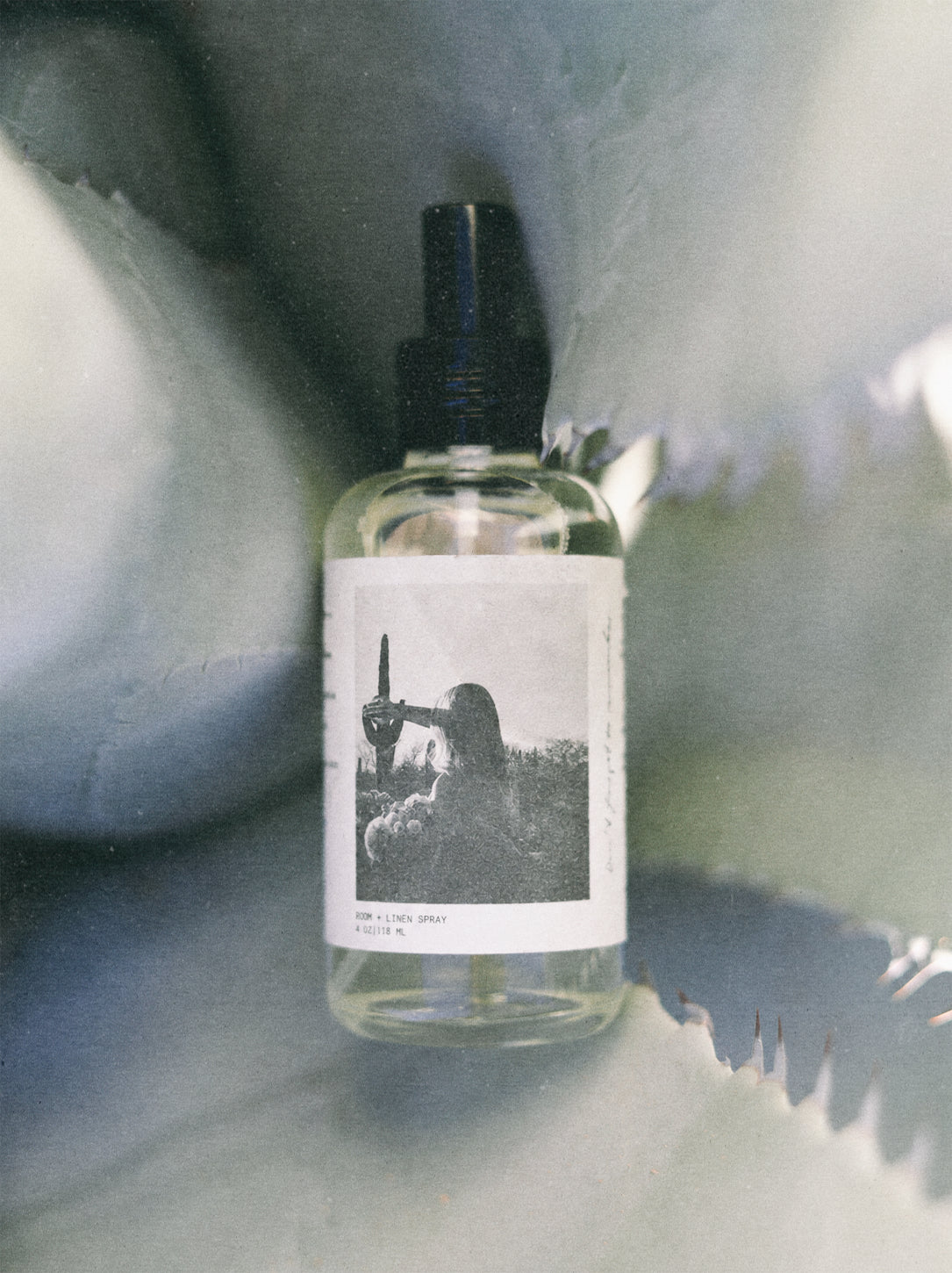 Image of atmosphere spray bottle set in agave plant. 
