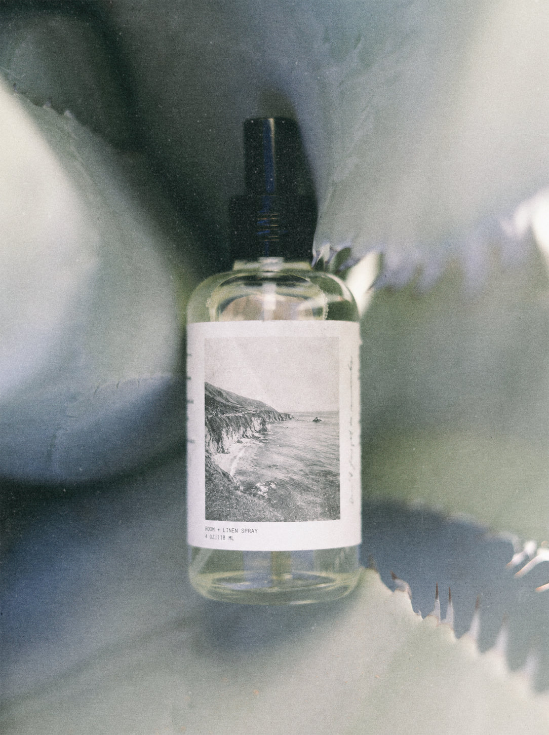 A clear glass spray bottle with a black pump and a white label featuring a black-and-white coastal landscape photo, set against a soft gray textured background.