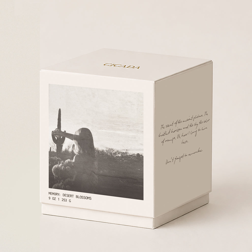 A square cream 9oz candle box with a printed black-and-white photograph on the front and elegant script text on the side, photographed on a clean warm off-white background. The top of the box shows the brand name CICADA.