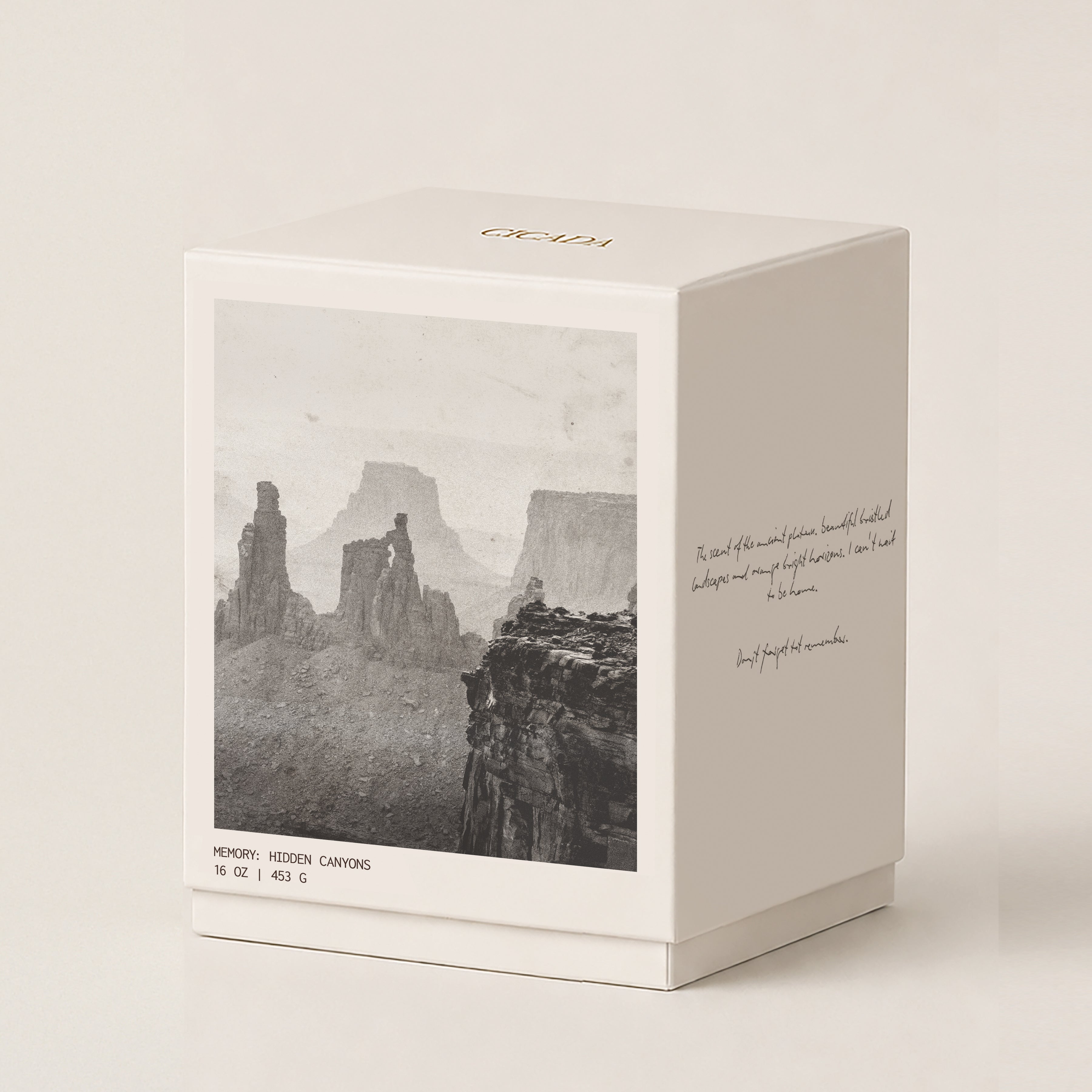 A square cream 16oz candle box with a black and white canyon landscape print on the front, photographed on a clean warm off-white background. The box is branded CICADA and includes handwritten-style text on the side.