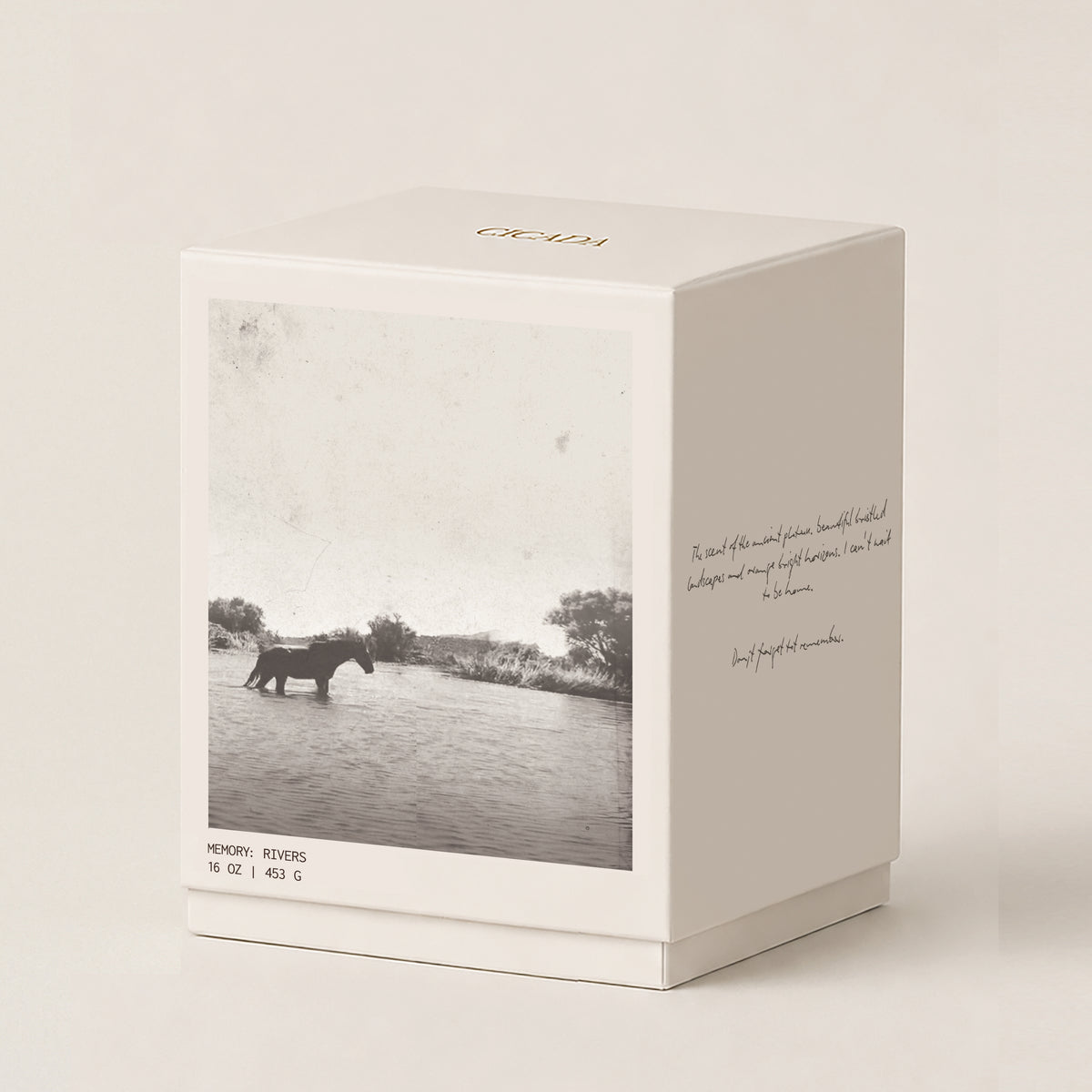 A square cream 16oz candle box with a monochrome photograph of a horse standing in river on the front panel, plus handwritten-style text on the side. The top of the box is printed with the brand name CICADA in gold. Box is set on cream background.