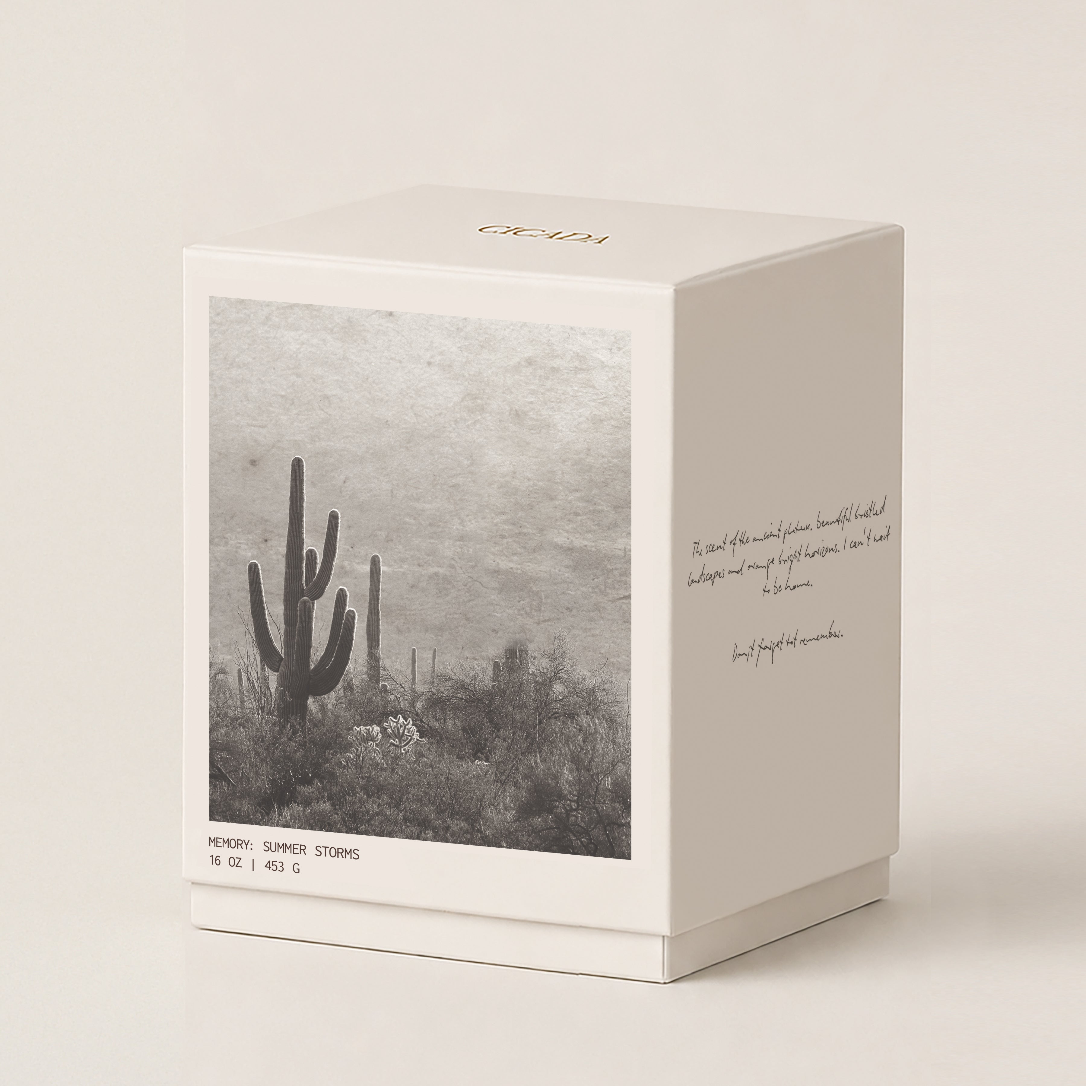 A square cream-colored 16oz Candle box with a saguaro cactus photograph on the front, featuring the brand name 'CICADA' in gold at the top and a quote printed on the side.