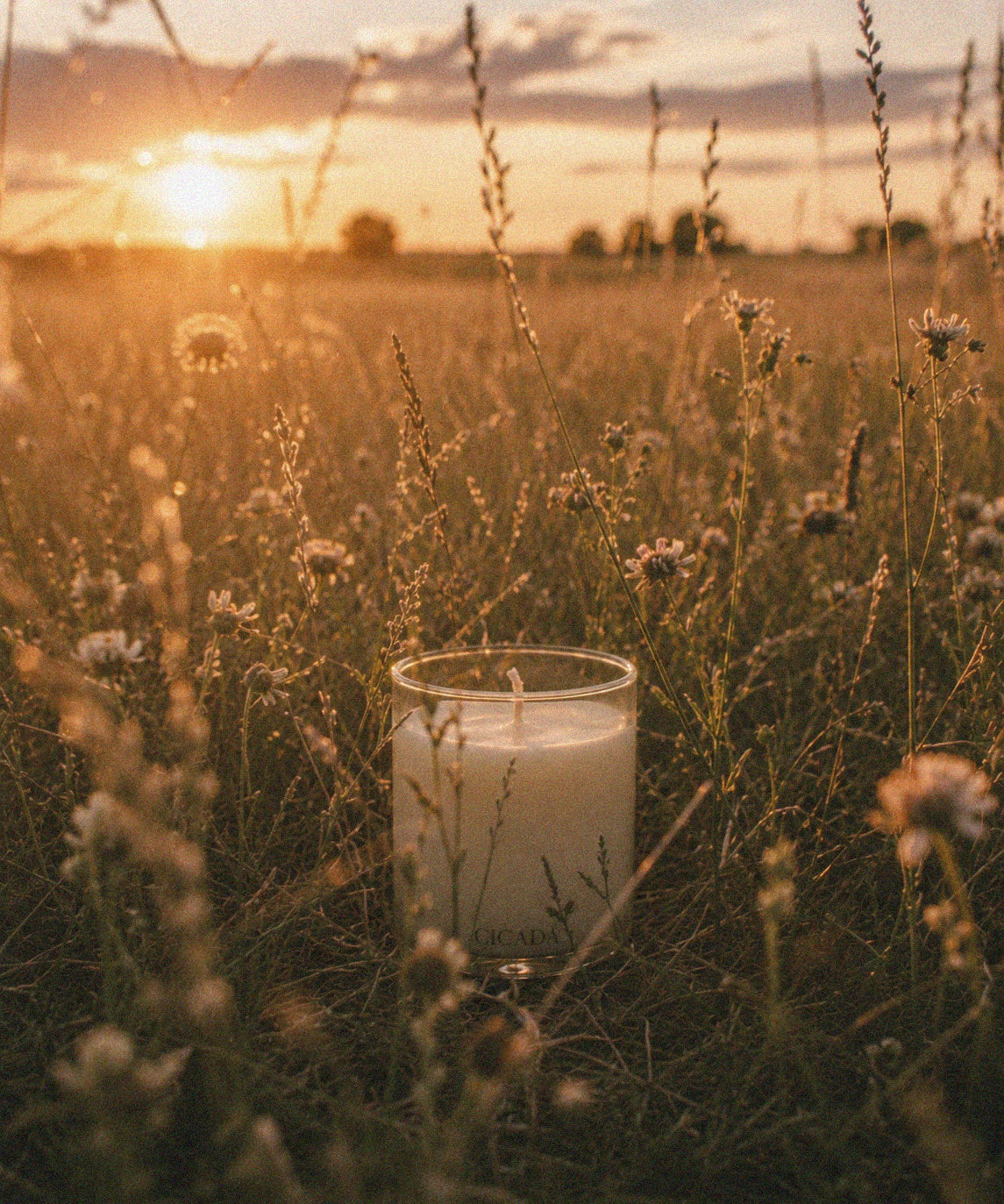 A white candle in a clear glass jar sits in a flower field at sunset, surrounded by wildflowers and warm golden light.